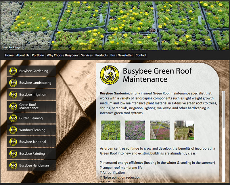 Busybee Green Roof Page - Torry Courte Portfolio
