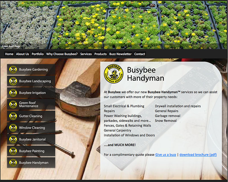 Torry Courte - Busybee Handyman Services